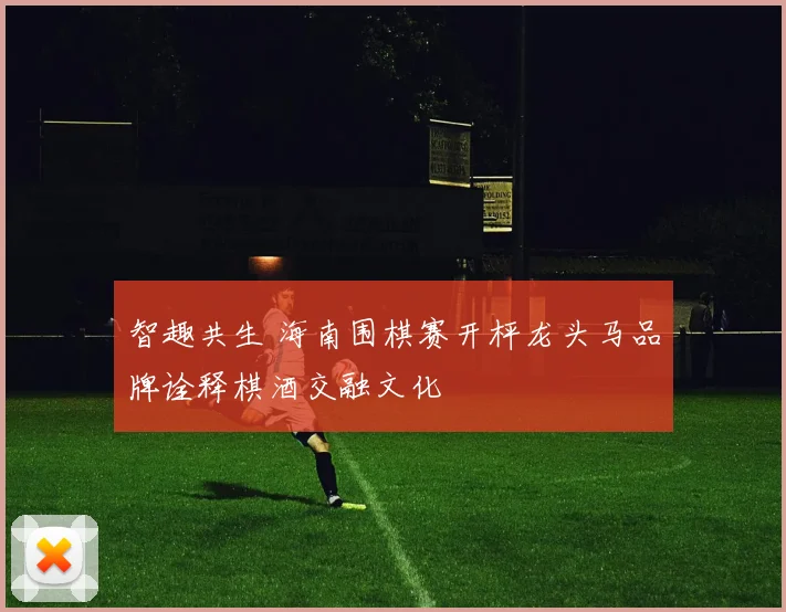 智趣共生 海南围棋赛开枰龙头马品牌诠释棋酒交融文化