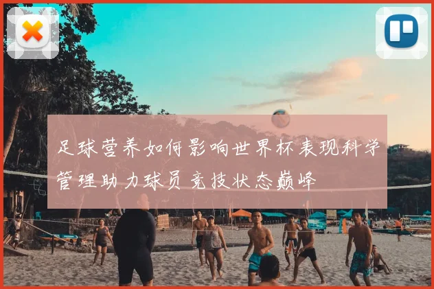 足球营养如何影响世界杯表现科学管理助力球员竞技状态巅峰